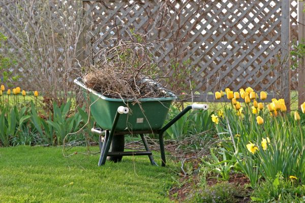 Flower Bed Cleanup Service - Flower Bed Cleanup Service Brooklyn, New York
