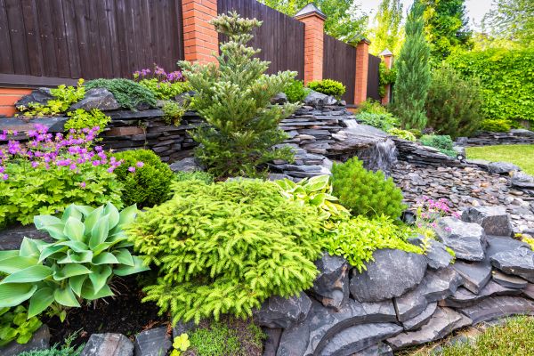 Backyard Landscape Design Service - Backyard Landscape Design Service Houston, Texas