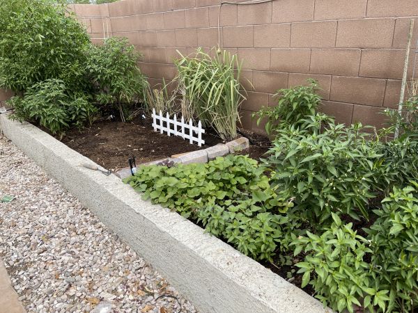 Concrete Border Installation
