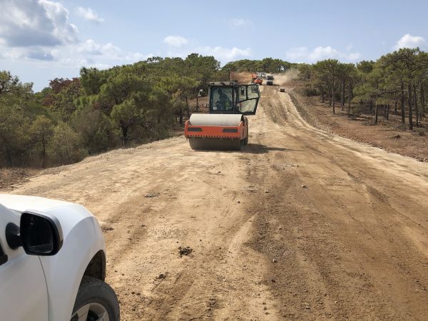 Backfilling Service