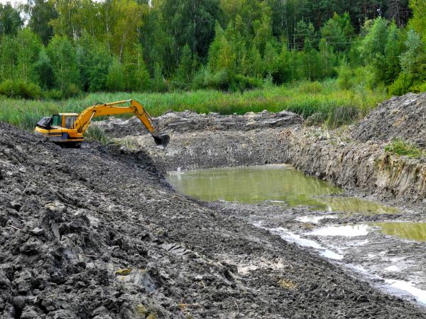 Fish Pond Digging