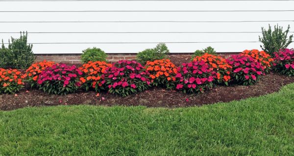 Flower Bed Weeding Service - Flower Bed Weeding Service Boise, Idaho