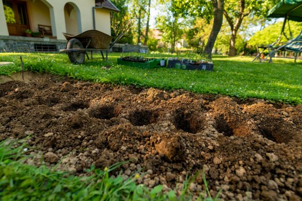 Garden Bed Installation