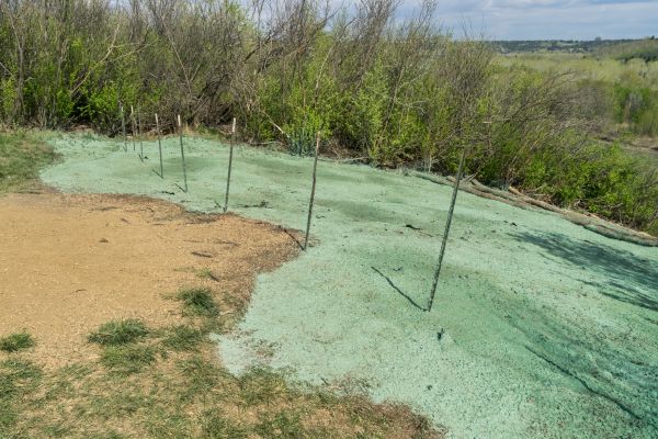 Commercial Hydroseeding