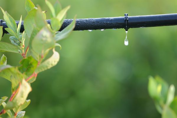 Irrigation Hose Repair