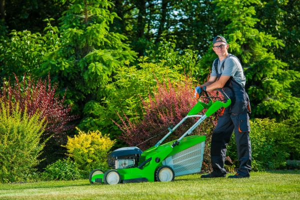 Grass Cutting And Lawn Care
