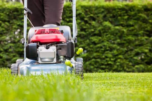 High Grass Mowing