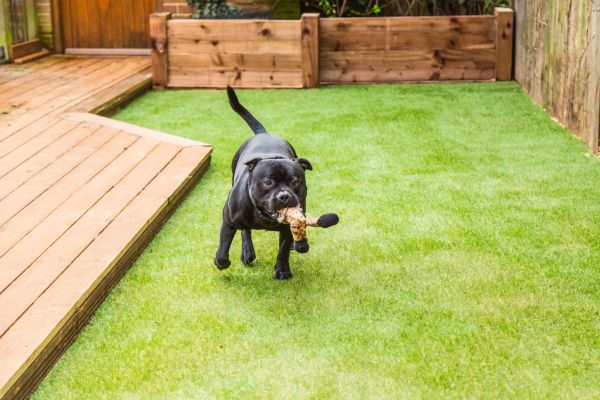 Pet Turf Installation