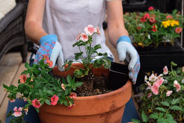 Flower Bed Planting