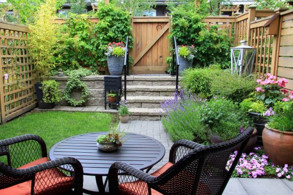 Compact Yard Landscaping