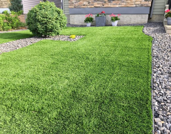 Artificial Grass Maintenance