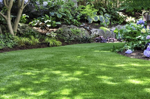Garden Bed Installation