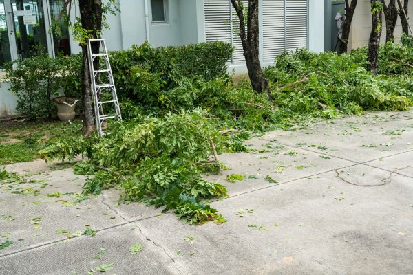 Lawn Care Service