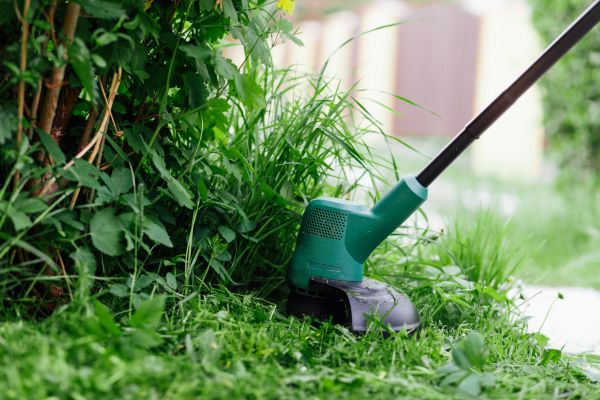 Weed Whacking - Weed Whacking Winchester, Massachusetts