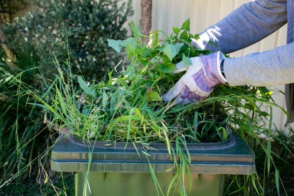 Yard Clean Up - Yard Clean Up Kitsap County, Washington