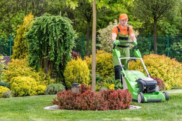Yard Service - Yard Service Omaha, Nebraska