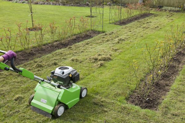 Dethatching Service