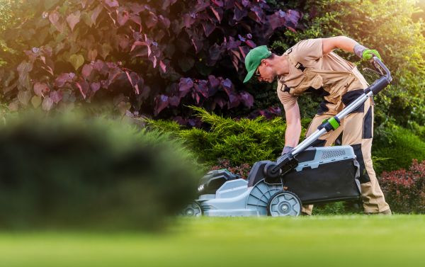 Yard Work - Yard Work Everett, Washington