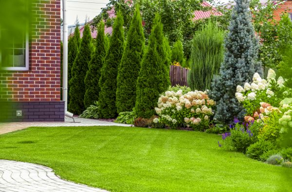 Grass Fertilization