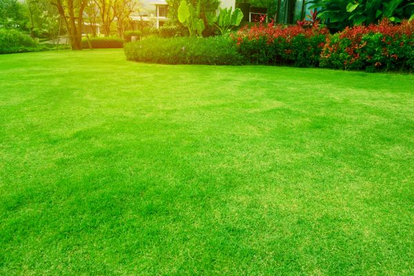 Home Landscaping