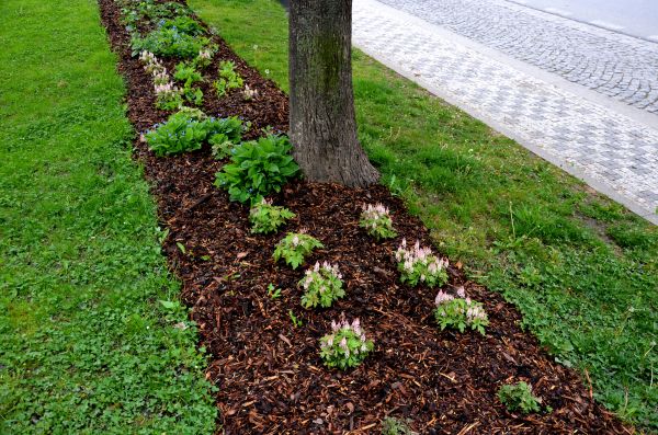 Church Mulching