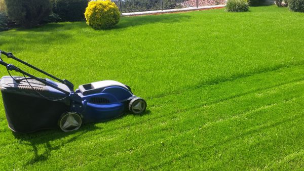 Grass Cutting Services - Grass Cutting Services Gainesville, Georgia