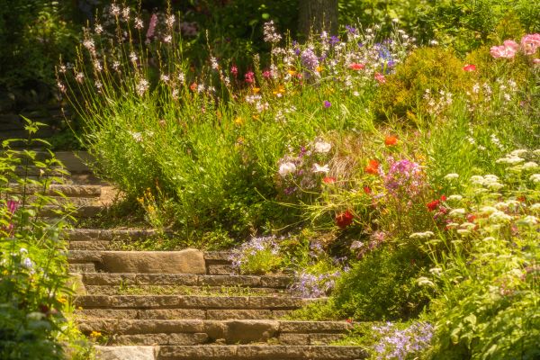 Front Yard Landscaping