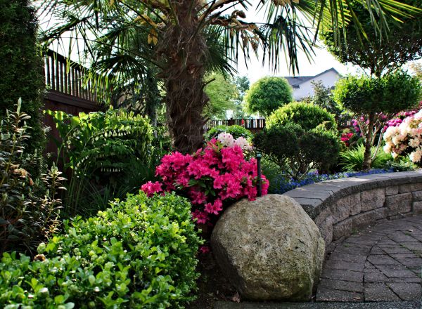 Hardscape Landscaping