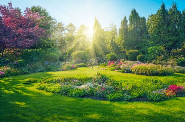 Sustainable Gardening Services