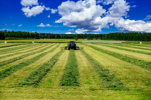 Vegetation Maintenance