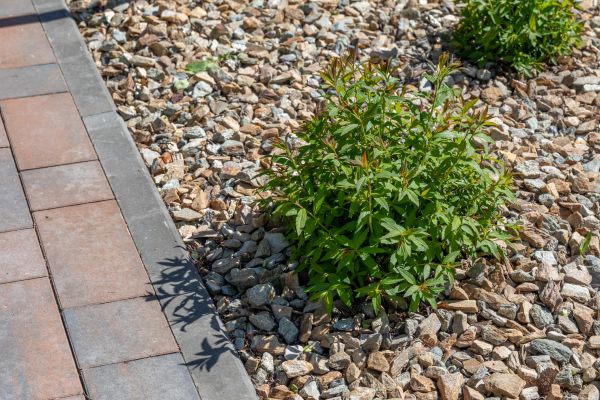 Rock Mulch Installation - Rock Mulch Installation Spokane County, Washington