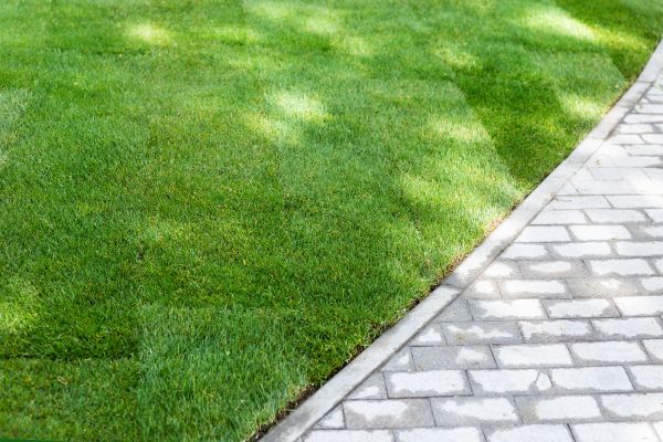New Lawn Installation