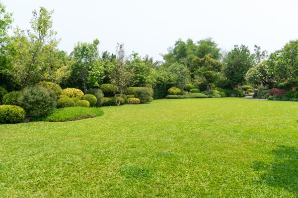 House Landscaping