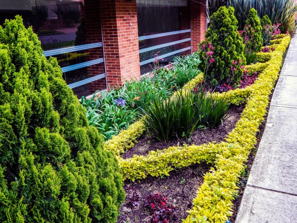 Flower Bed Clearing