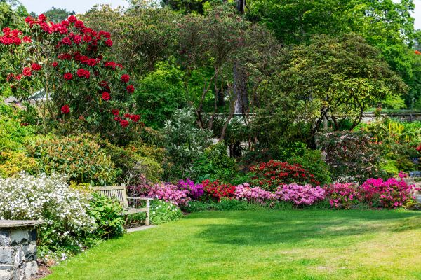 Garden Improvement - Garden Improvement Sparks, Nevada
