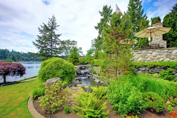 Backyard Renovation Service