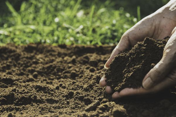 Soil Aeration Service