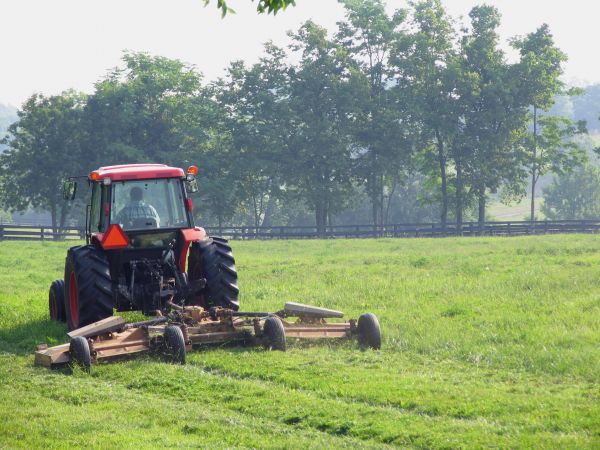 Brush Mowing Service