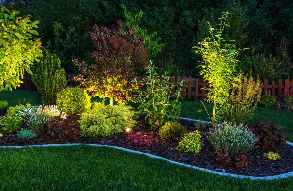 Backyard Lighting Service