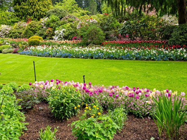 Residential Landscape Design - Residential Landscape Design Norwalk, Connecticut