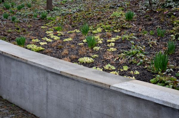 Erosion Control Installation
