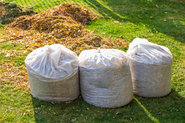 Ditch Leaf Removal
