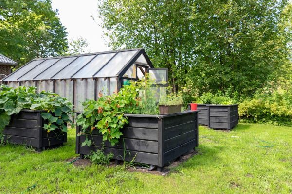 Permaculture Landscaping Setup