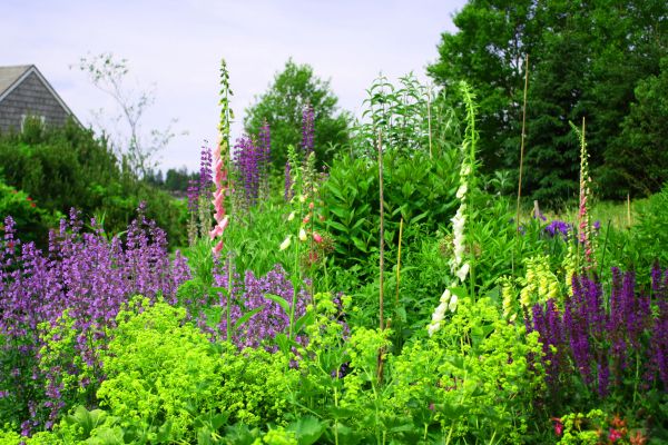 Sustainable Landscaping