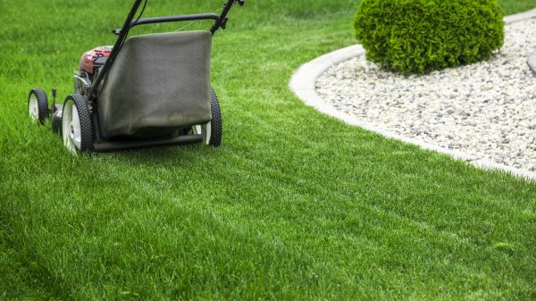 Landscaping And Maintenance