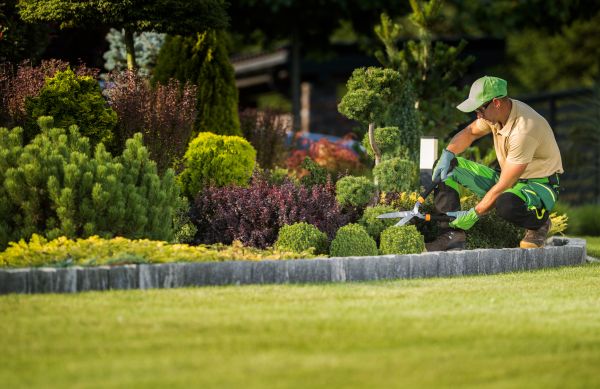 Home Landscaping
