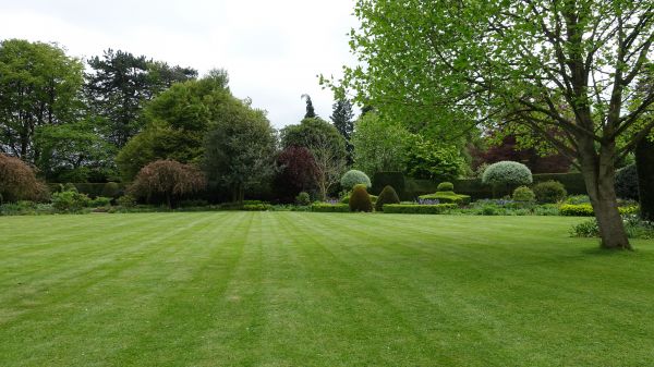 Lawn Dressing Service