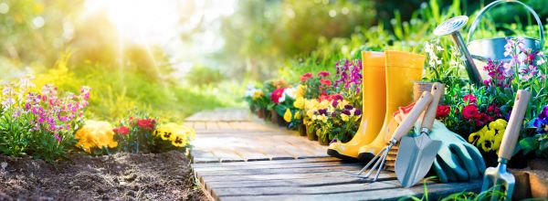 Flower Bed Service