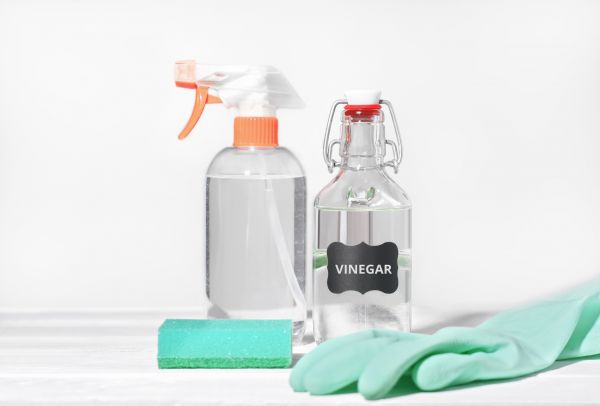 Green Cleaning Service