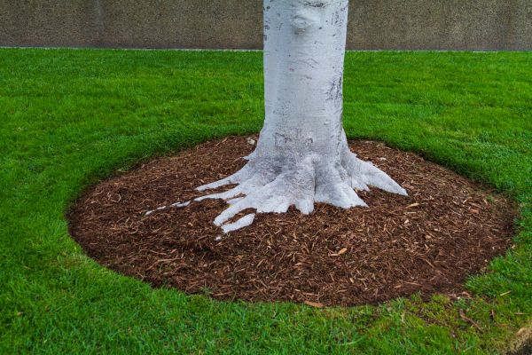 Brown Mulch Installation